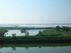 gite in barca nelle valli di Comacchio